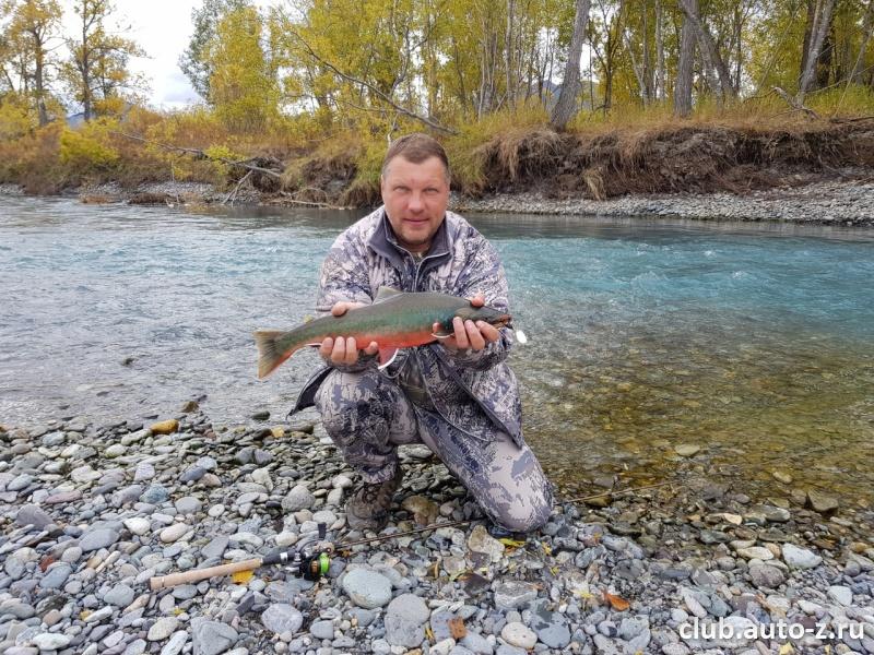 Камчатка 2018 Голец речной (самец)