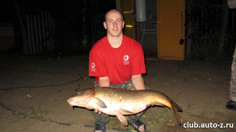 Ахтуба, Сазан 11.5 кг