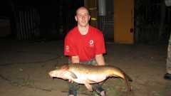 Ахтуба, Сазан 11.5 кг