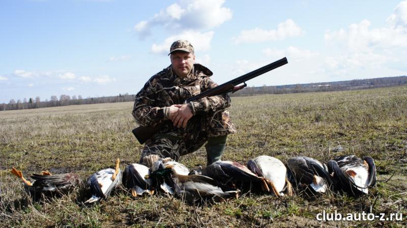 Гуси Апрель 2012