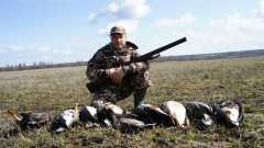 Гуси Апрель 2012