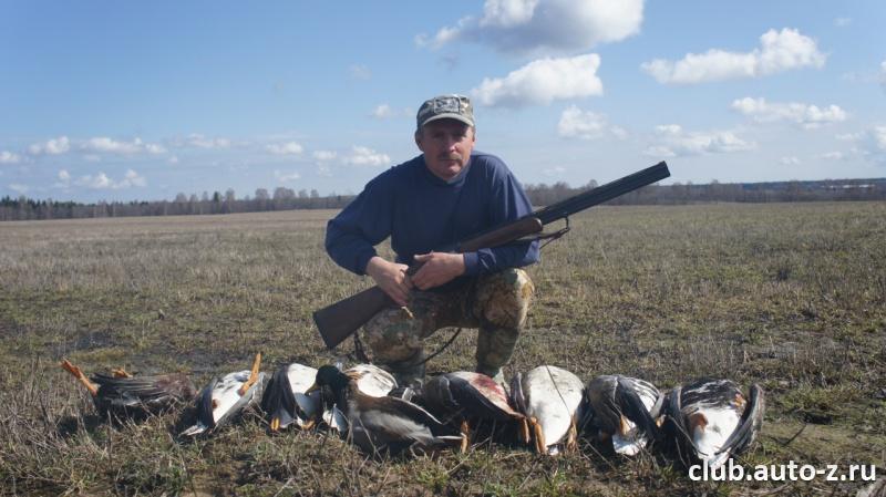 Федосов Сергей Апрельские гуси.