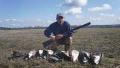 Федосов Сергей Апрельские гуси.