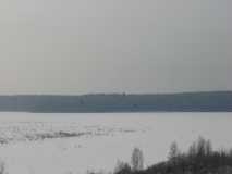 Полет тетеревов