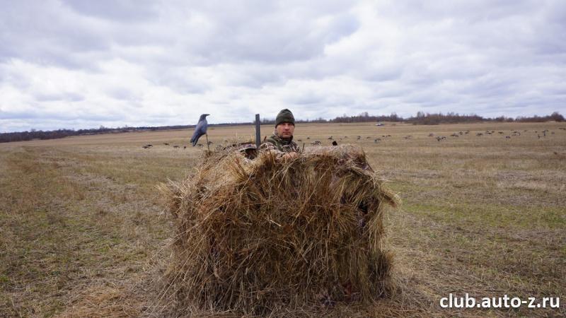 Гусиная охота 2013