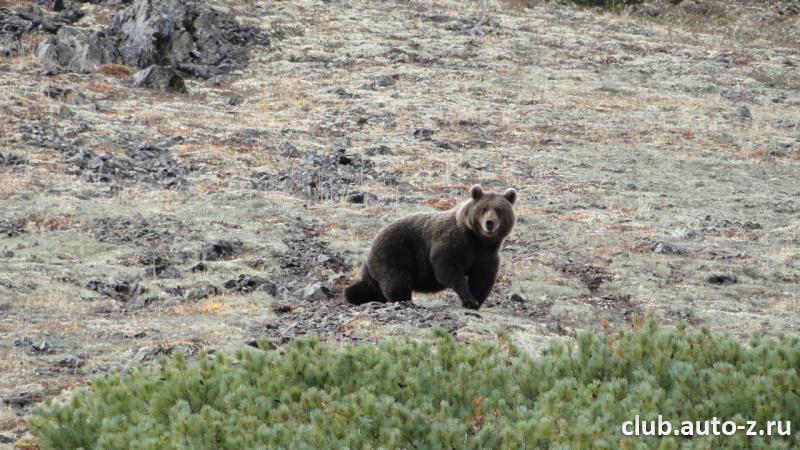 Камчатка. Проходил мимо....