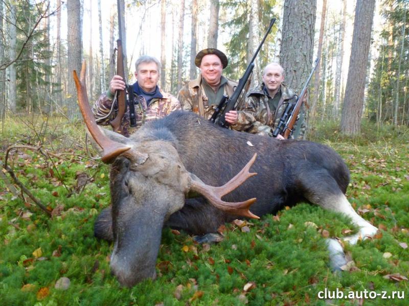 Первый трофейный лось 2013 года