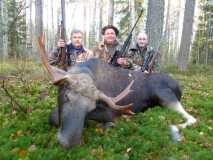 Первый трофейный лось 2013 года