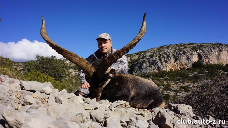 Козерог Бесайт . Испания 2013