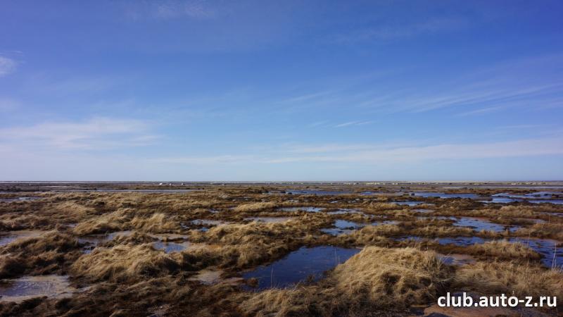 Полярная тундра,берег Белого моря.