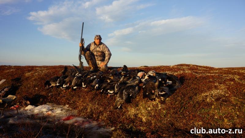 Дневной настрел.