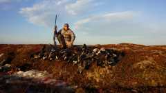 Дневной настрел.