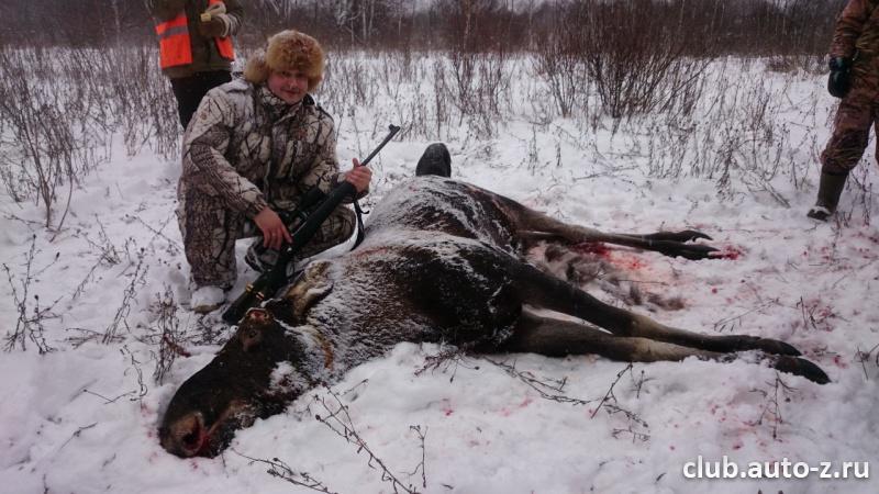 Хитрый лось, подкрался сзади