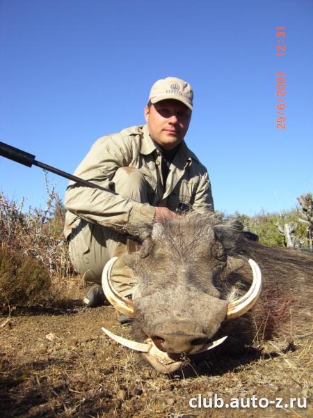 ЮАР 2007 Бородавочник
