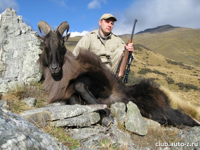 Новая Зеландия 2009  Гималайский  Тар.